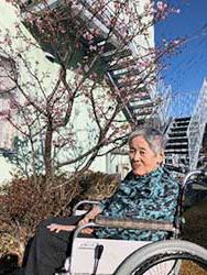 平成23年４月「松野の里」の開設時に植樹した河津桜