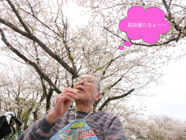 お花見
