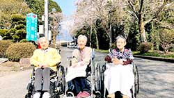 天気がいい日に富士宮荘の桜の前で写真撮影