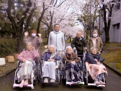 お花見ソレイユ甲府