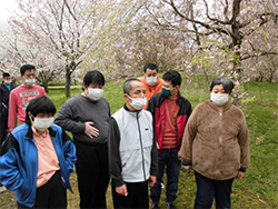 天気はいまいちでしたが、やっぱり桜は良いですね！