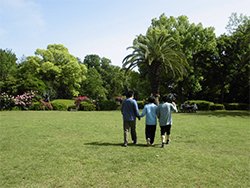 散策中、良い写真が撮れました。ハワイみたい！