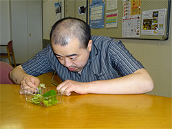 梅雨の風物詩、カタツムリがいました。真剣に観察していました。