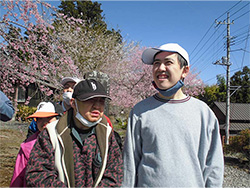 今年の桜も綺麗だね。