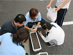 種まきって意外と難しい…　5月19日