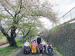 毎年恒例のお花見へ厚原スポーツ公園に行ってきたよ(‘ω’)ノ　曇り空でしたが皆と見るお花見は最高でした(#^^#)
