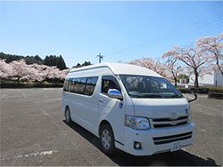 桜が満開できれいでした🌸