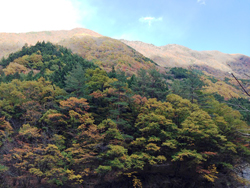 紅葉の七面山