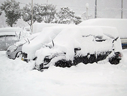 雪景色