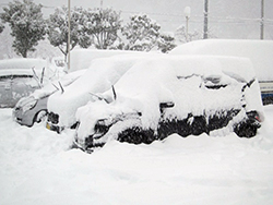 雪景色