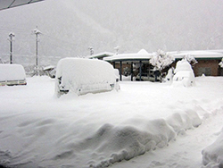 ちらつく雪