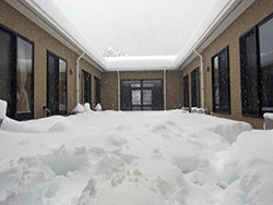雪景色