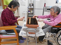 家庭菜園　収穫がたのしみですね～