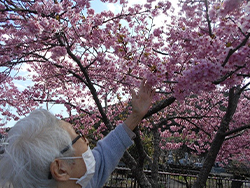 河津桜を見にドライブ後