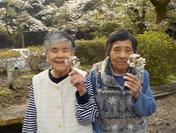 利用者様、職員共綺麗なお花を見て癒されました☆