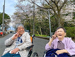 桜と藤のお花がとても綺麗でした♪