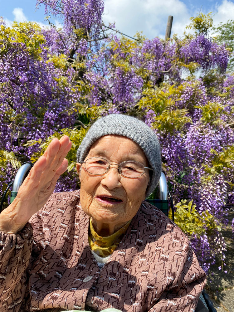 桜＆藤のお花見