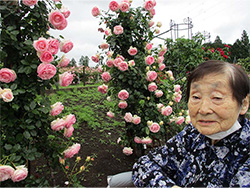 あいにくの天候でしたが、色とりどりのバラの花に皆様喜ばれておりました。