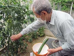 水やりを頑張った甲斐があり、立派に育ちました！！！