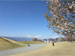 お天気も良く、景色も綺麗でお花見日和でした(*^▽^*)