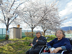 桜の前で記念写真